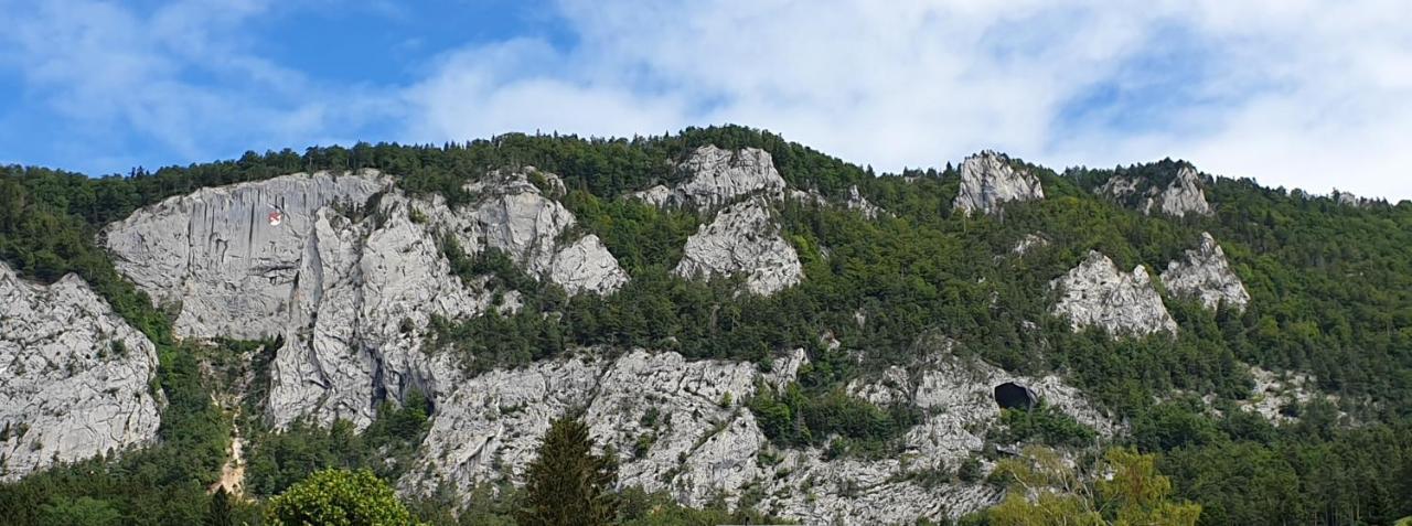 Hotel Gasthof Kreuz Welschenrohr エクステリア 写真