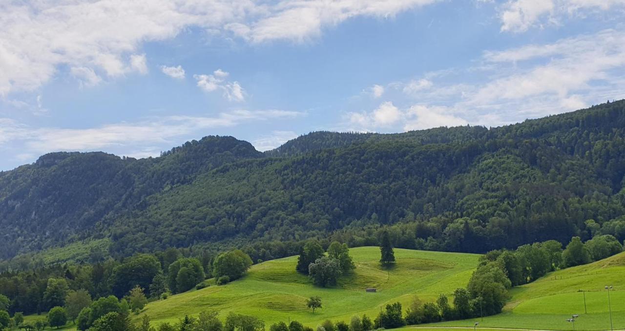 Hotel Gasthof Kreuz Welschenrohr エクステリア 写真