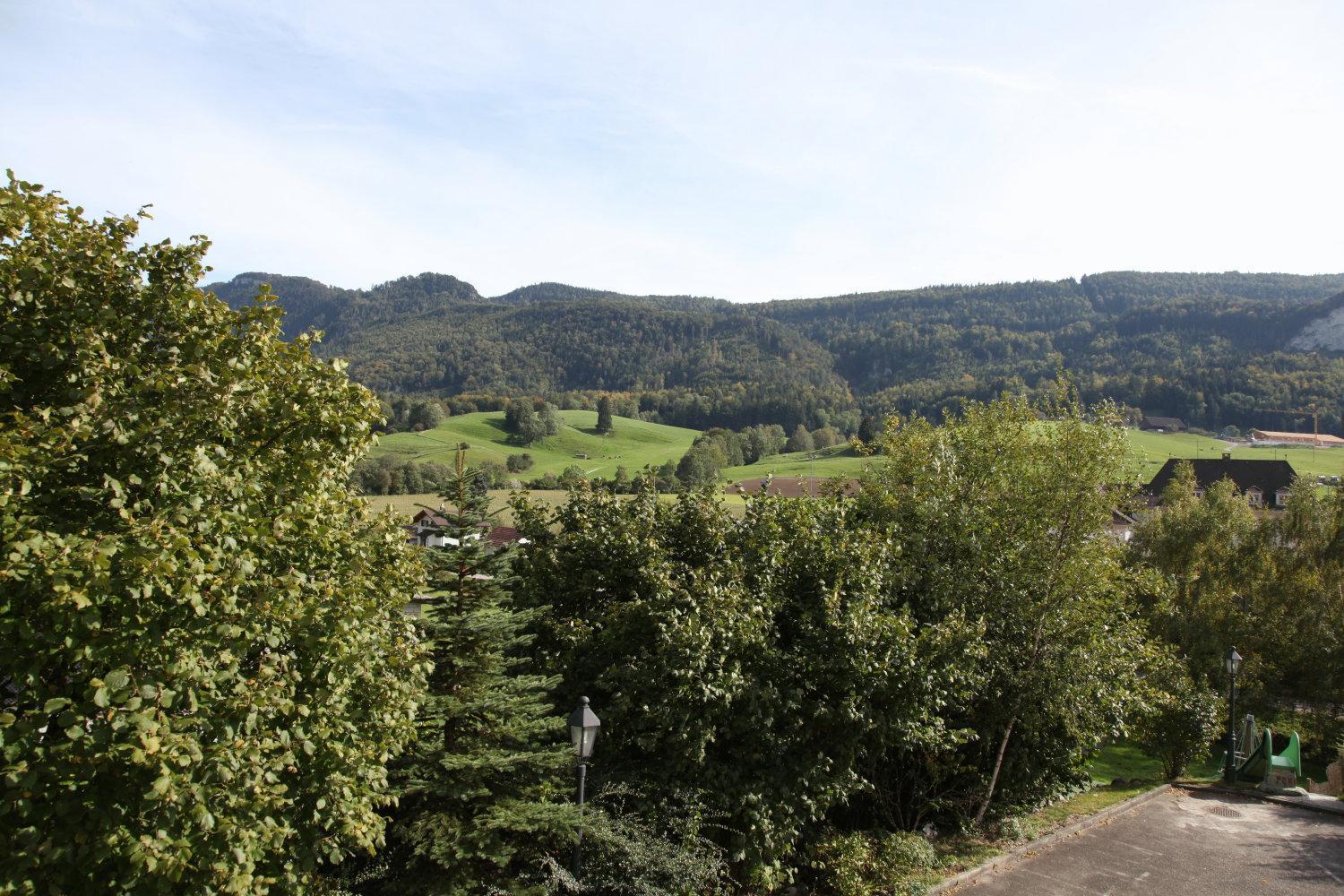 Hotel Gasthof Kreuz Welschenrohr エクステリア 写真